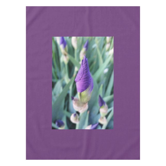 Nappe bourgeon d'iris pourpre (Devant)