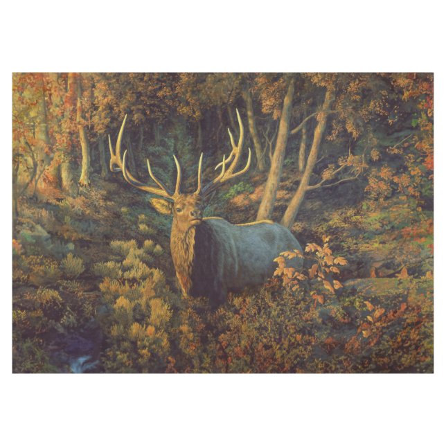 Nappe Bull Elk dans la forêt d'automne (Devant (Horizontal))
