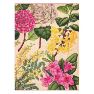 Nappe camélia, forsythie, rhododendron et acacia