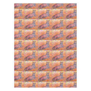 Nappe chatte pavé ensoleillé