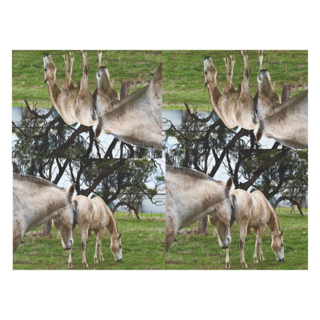 Nappe Chevaux boueux blancs, (Devant (Horizontal))