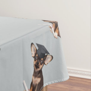 Nappe Chien de chiwawa d'obtention du diplôme