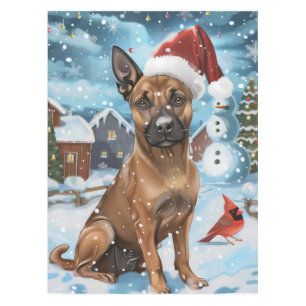 Nappe Chien d'hiver belge Malinoi Wonderland Noël
