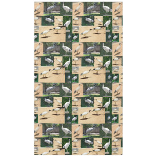Nappe Chroniques Du Poulet De Bin : Collage Photo De L'I