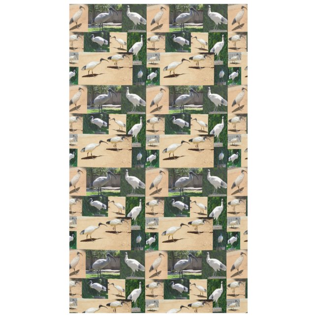 Nappe Chroniques Du Poulet De Bin : Collage Photo De L'I (Devant)