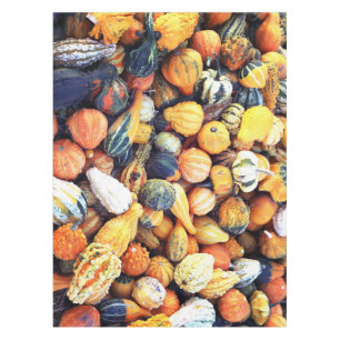 Nappe Citrouilles Colorées C