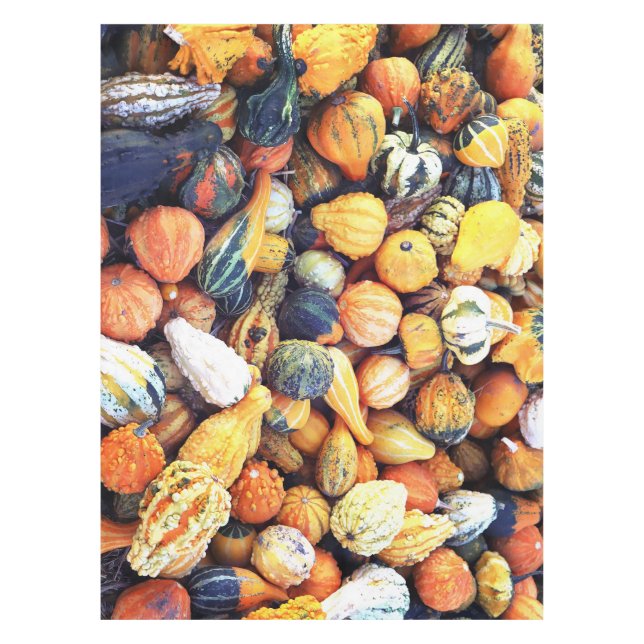 Nappe Citrouilles Colorées C (Devant)