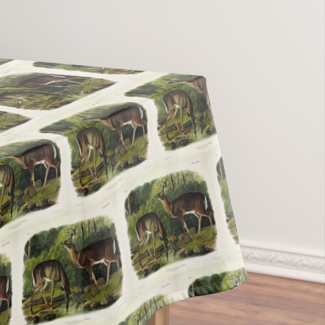 Nappe Common Deer (In Situ)