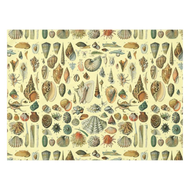 Nappe Coquillages de coquillages Mollusk Clam Élégant Ar (Devant (Horizontal))