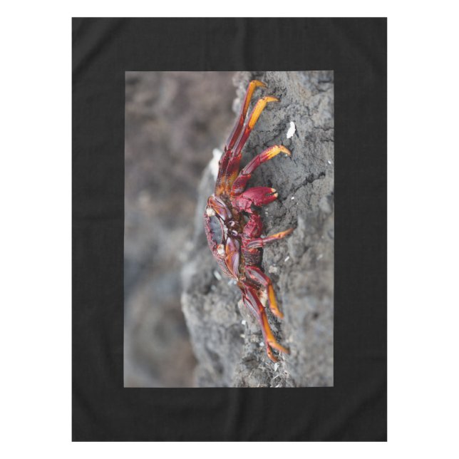 Nappe Crabe rouge (Devant)