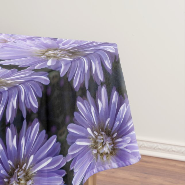 Nappe Cyrène (In Situ)