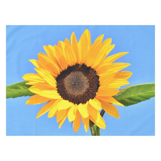 Nappe de tournesol jaune (Devant (Horizontal))