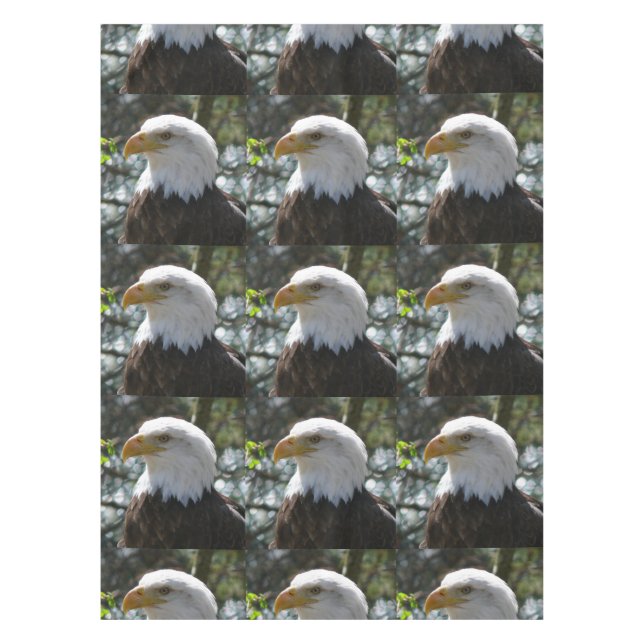 Nappe Eagle (Devant)