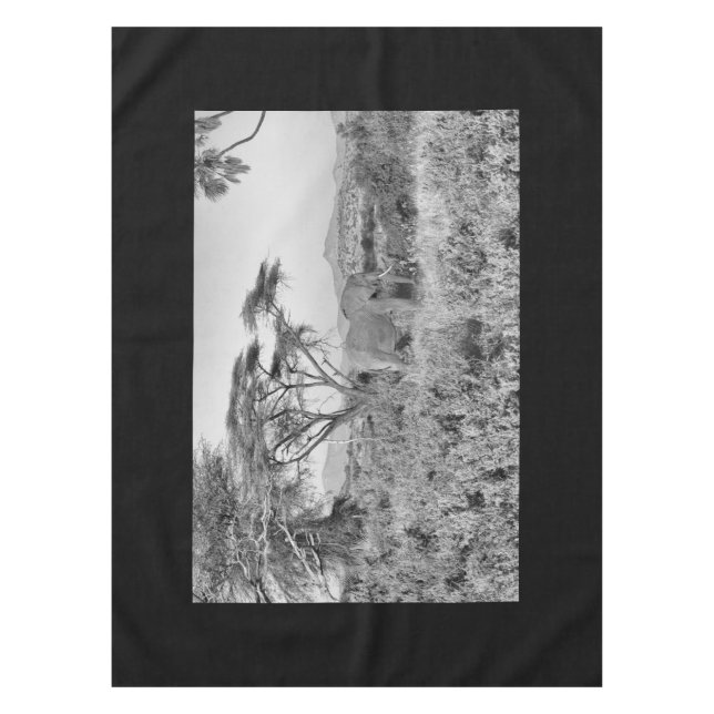 Nappe Eléphant à Samburu (Devant)