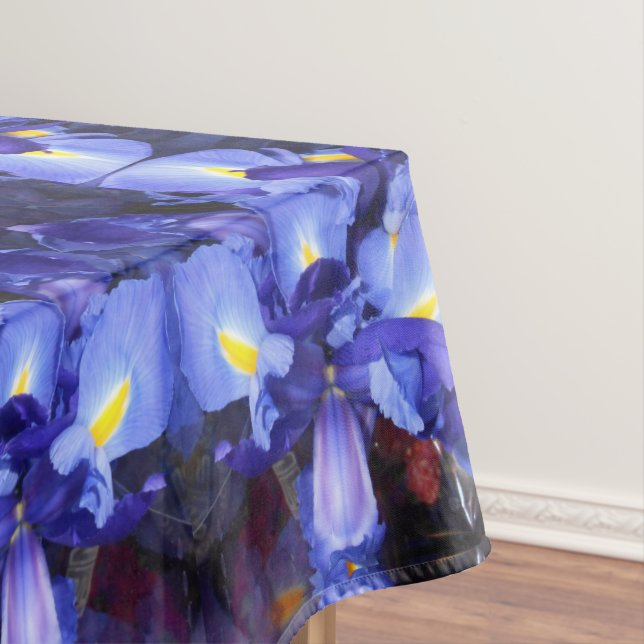 Nappe Ermengarde (In Situ)