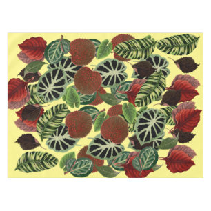 Nappe Feuille feuille plante jardin nature fille art