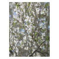 Fleurs de fleur blanche d'arbre de cornouiller