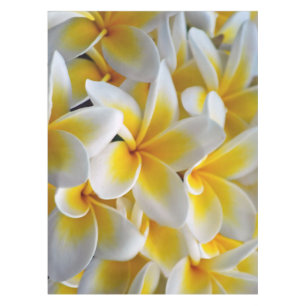 Nappe Frangipani Plumeria fleurs mariage