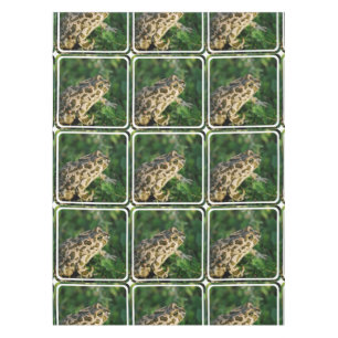 Nappe Froggy