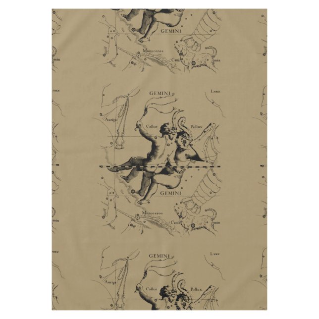 Nappe Gemini Constellation Map Hevelius vers 1690 (Devant)