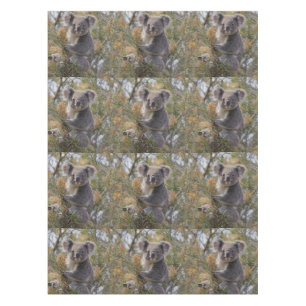 Nappe Grevillea Koala Bear,