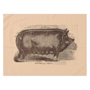 Nappe Impression de porc du 19e siècle Berkshire semé no