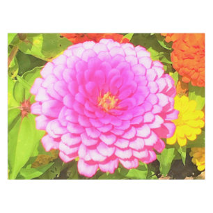 Nappe Joli rose ronde Zinnia dans le jardin d'été