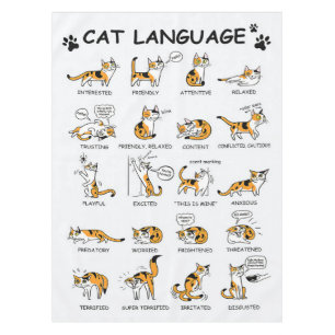 Nappe Langue de chat, Drôle Chat Kitten, Aimer Idée ca