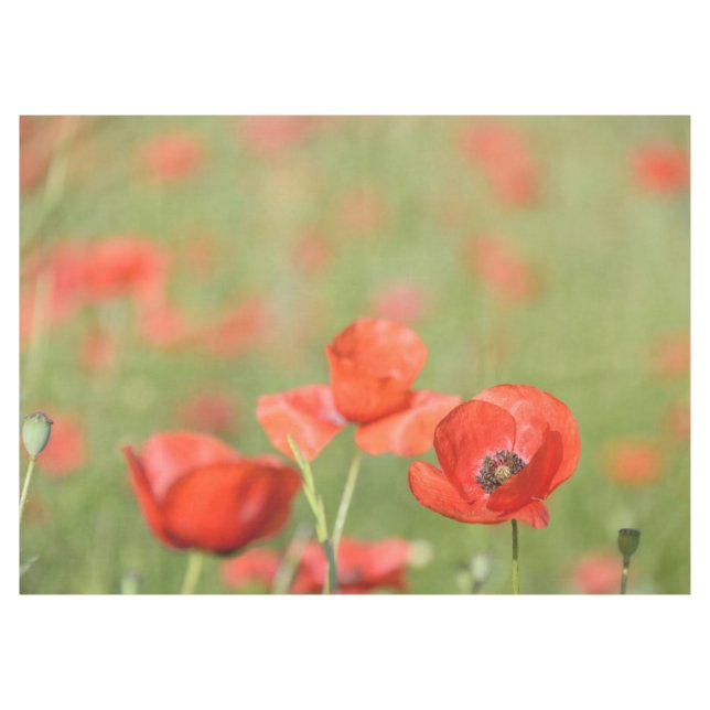 Nappe Les pavots rouges vibrants dans un pavot vert (Devant (Horizontal))