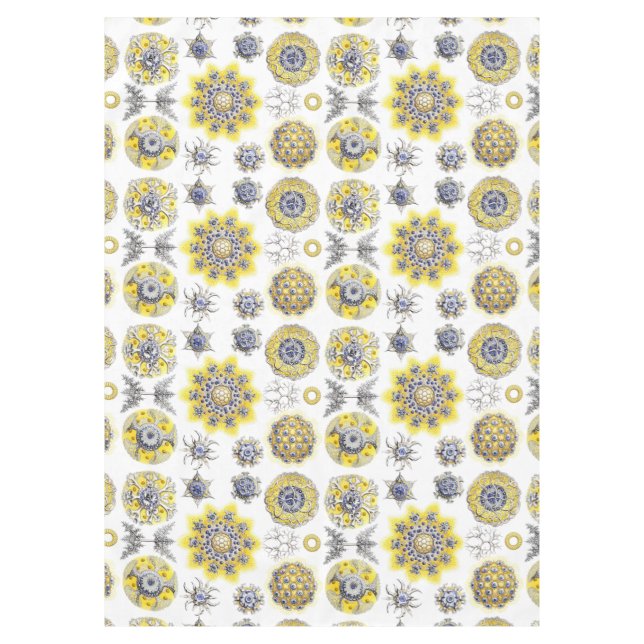 Nappe Macro Sea Creatures Amoeba (Devant)