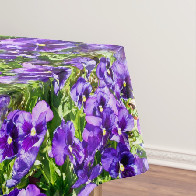 Nappe Mer de sérénité : Le beau terrain de purple violet (In Situ)