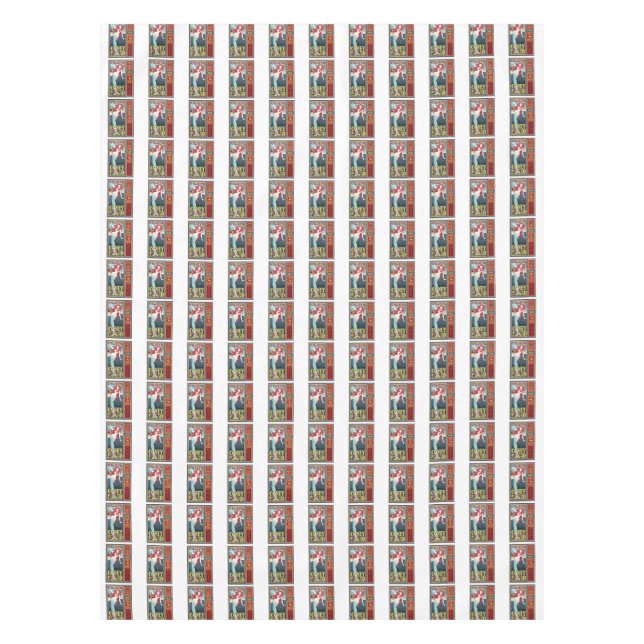 Nappe mermaides de coney island (Devant)