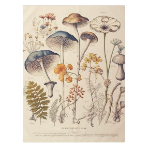 Nappe Naturaliste de champignons vintages
