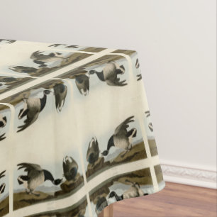 Nappe Oie de Bernache du Canada (Bernache du Canada) d'A