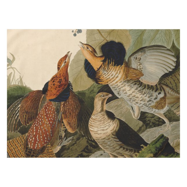 Nappe Oiseau de gibier Audubon (Devant (Horizontal))