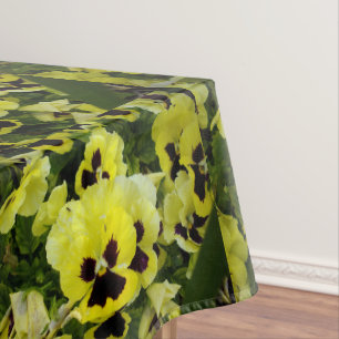 Nappe Pansies jaunes dorées grandissantes : soleil en fl