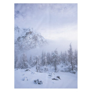 Nappe Pays merveilleux d'hiver, brouillard, forêt d'épin