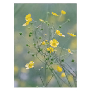 Nappe Renoncules jaunes