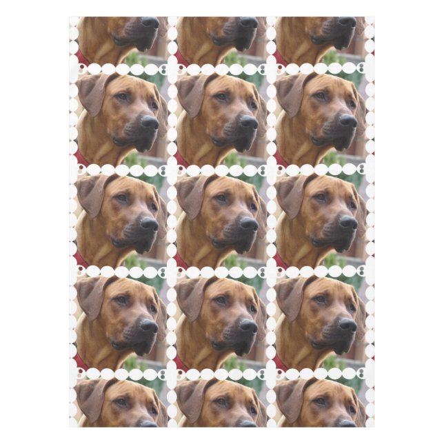Nappe rhodesian-ridgeback-5 (Devant)