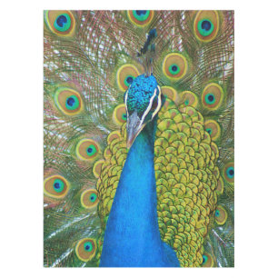 Nappe Tête bleue Peacock avec et des plumes de queue col