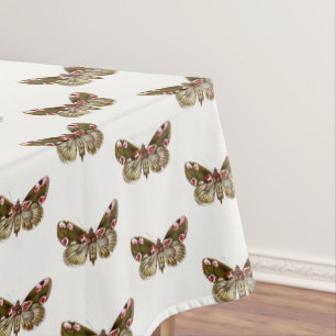 Nappe Thyatira batis - La teigne de fleur de la peau