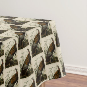 Nappe Turquie sauvage (mâle) des oiseaux d'Amérique d'Au
