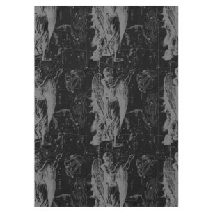 Nappe Virgo Constellation Hevelius 1690