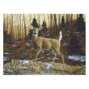Nappe Whitetail Deer Doe dans la forêt d'automne