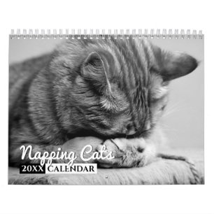 Napping Cats 2022 Foto Wall Calendar Kalender