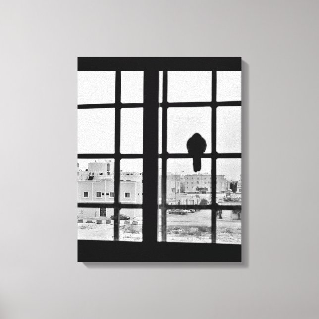 Napping Dove Leinwanddruck (Vorderseite)