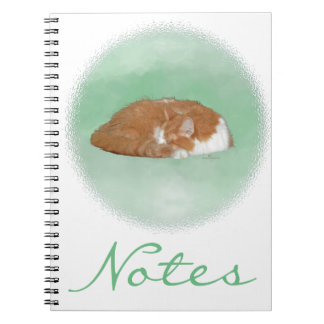 Napping Orange Kitty Notizblock