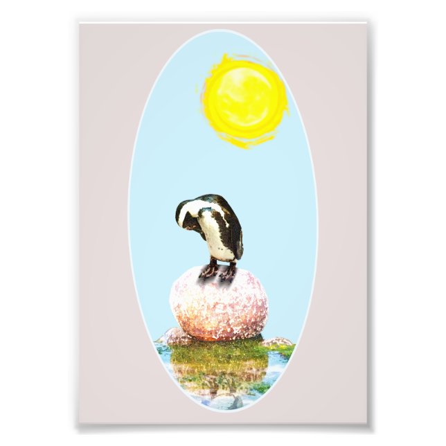 Napping Pinguin in der Sonne Fotodruck (Vorne)