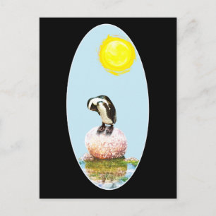 Napping Pinguin in der Sonne Postkarte