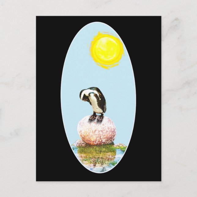 Napping Pinguin in der Sonne Postkarte (Vorderseite)